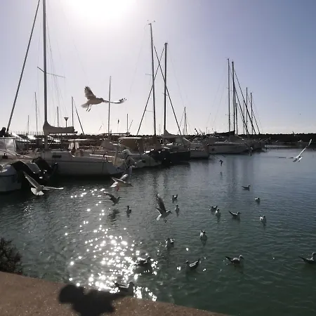 Gæstehus Blue Marine Di Lido di Ostia